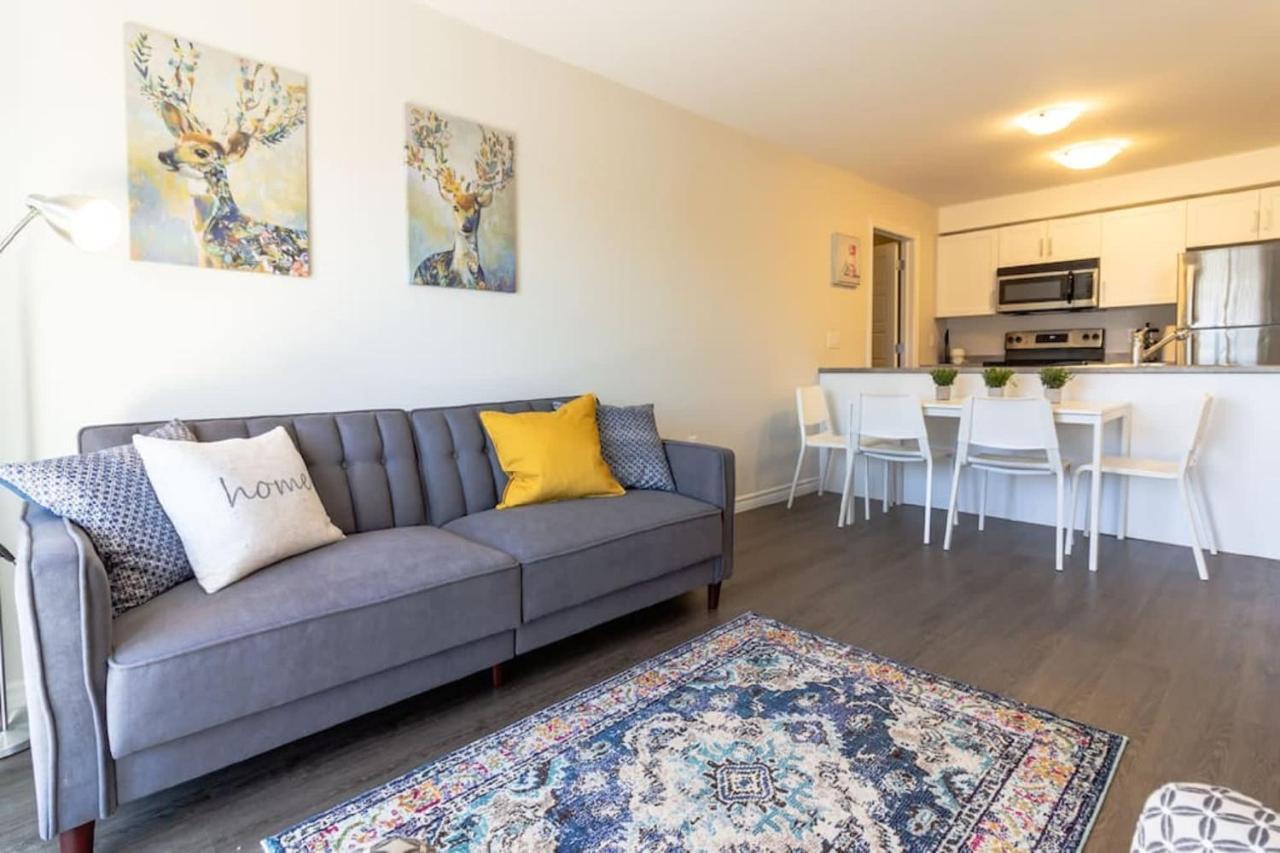 Newly Renovated Modern Condo Near Hospital, Unb Patio & Parking Coffee Saint John Exterior foto