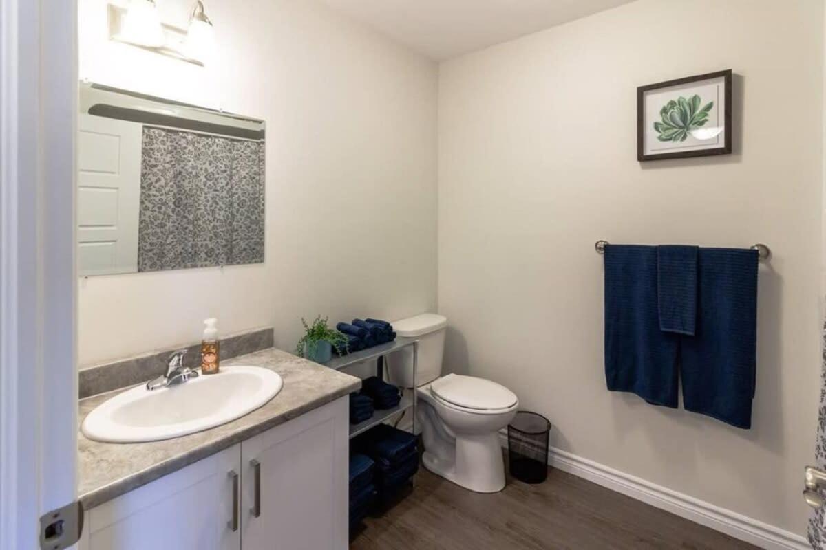 Newly Renovated Modern Condo Near Hospital, Unb Patio & Parking Coffee Saint John Exterior foto